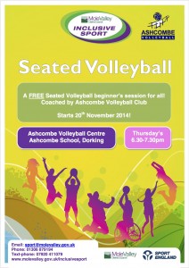 Seated Volleyball poster